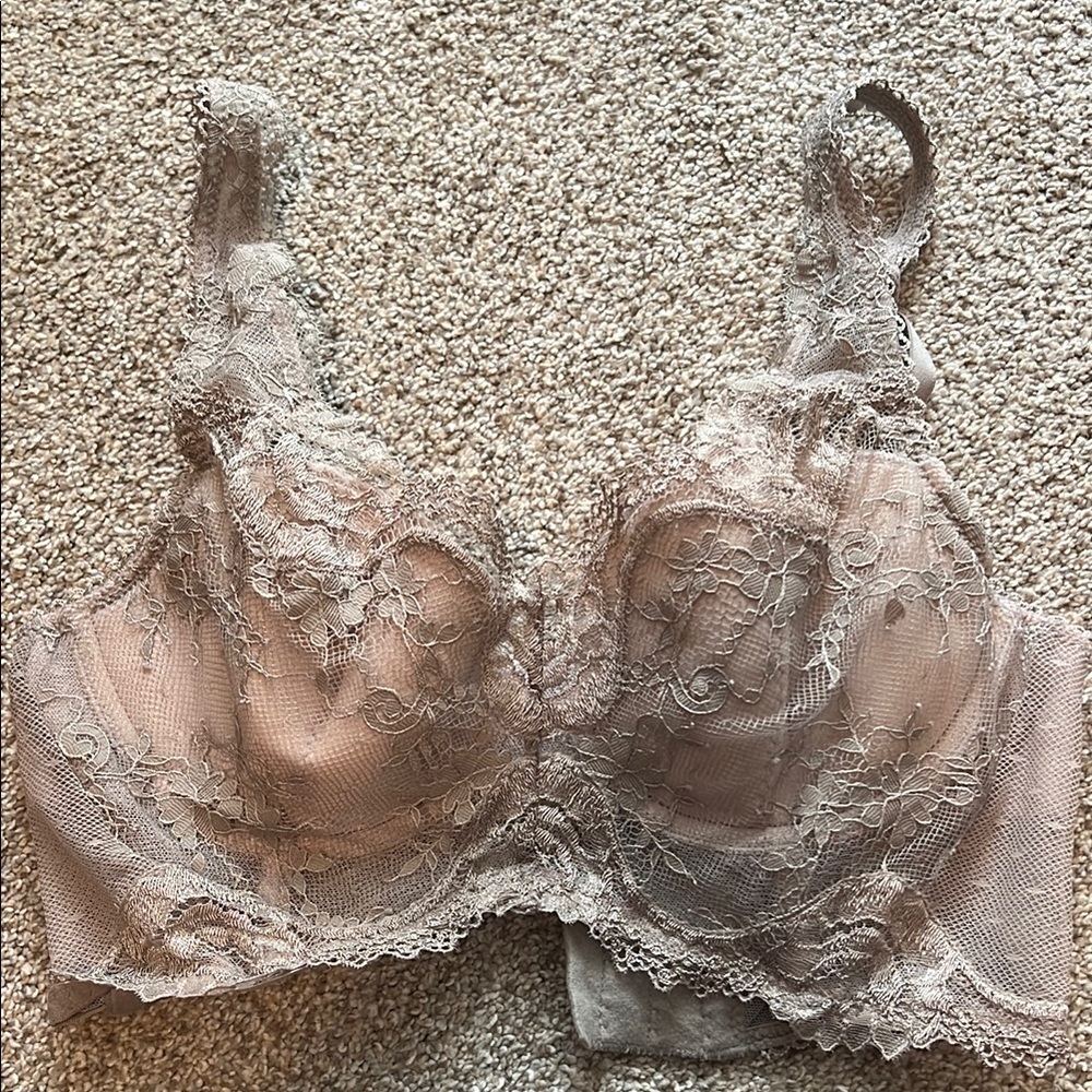 Elegant Lace Bra in Beige